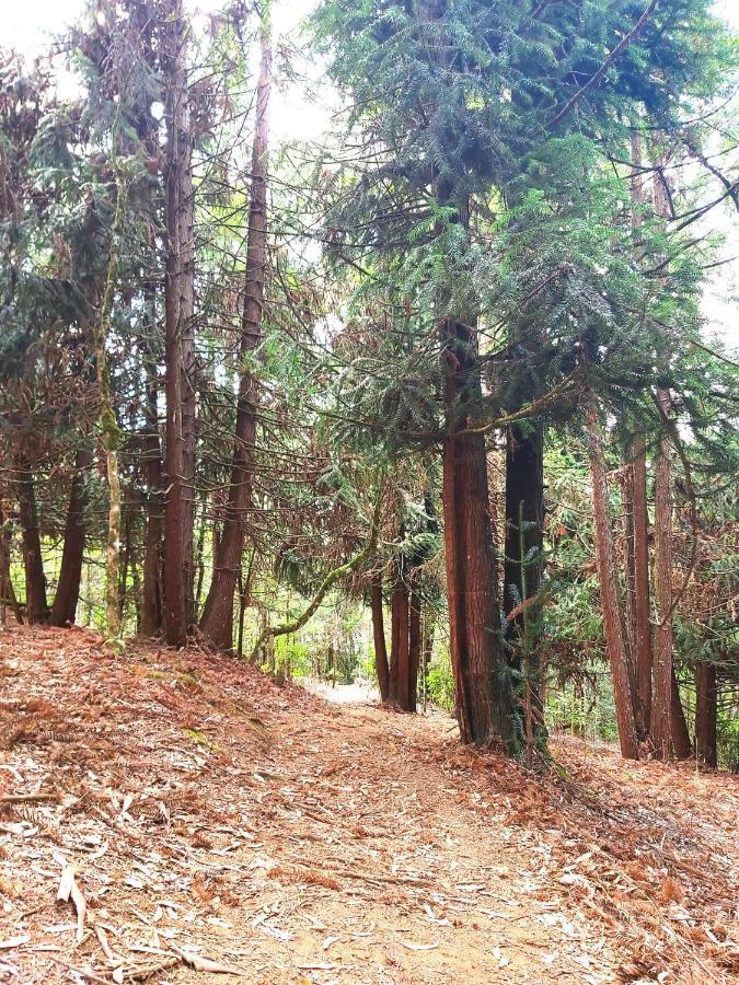 Recanto das Cerejeiras Campos do Jordão Exterior foto